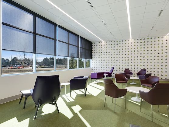 Modern, Adaptable Roller Shades at the Simpsonville Five Forks Library