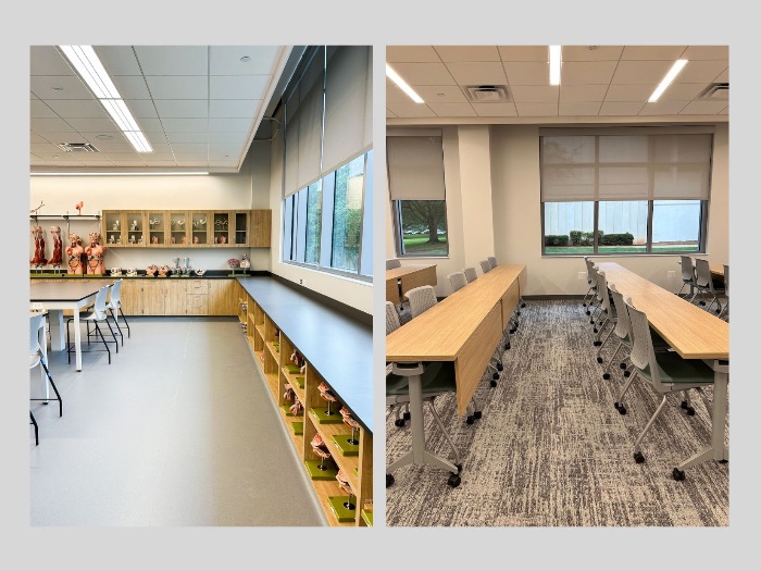 Classrooms with roller shades